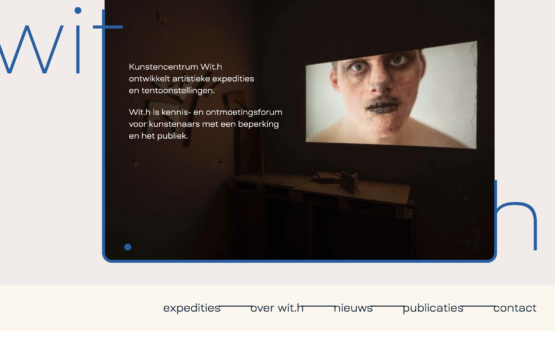 websiteview